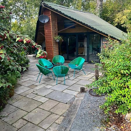 The Shed . A Cosy, Peaceful, 96% Recycled, Chalet. Swansea Esterno foto