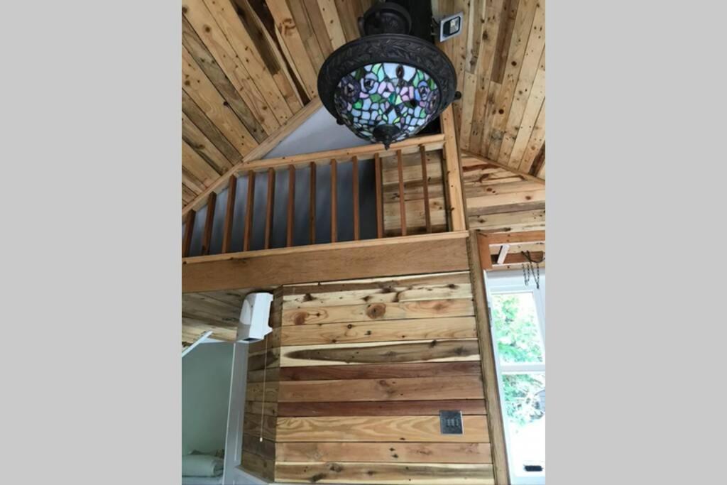 The Shed . A Cosy, Peaceful, 96% Recycled, Chalet. Swansea Esterno foto