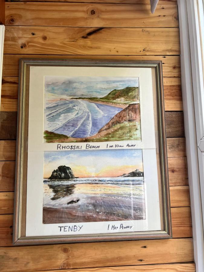 The Shed . A Cosy, Peaceful, 96% Recycled, Chalet. Swansea Esterno foto