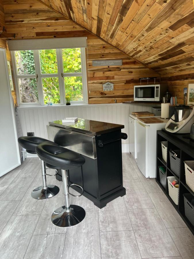 The Shed . A Cosy, Peaceful, 96% Recycled, Chalet. Swansea Esterno foto